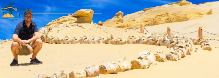Day Trip to Fayoum from Cairo