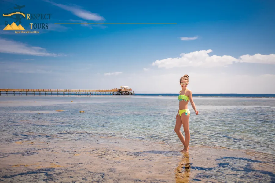 Diving in the Red Sea