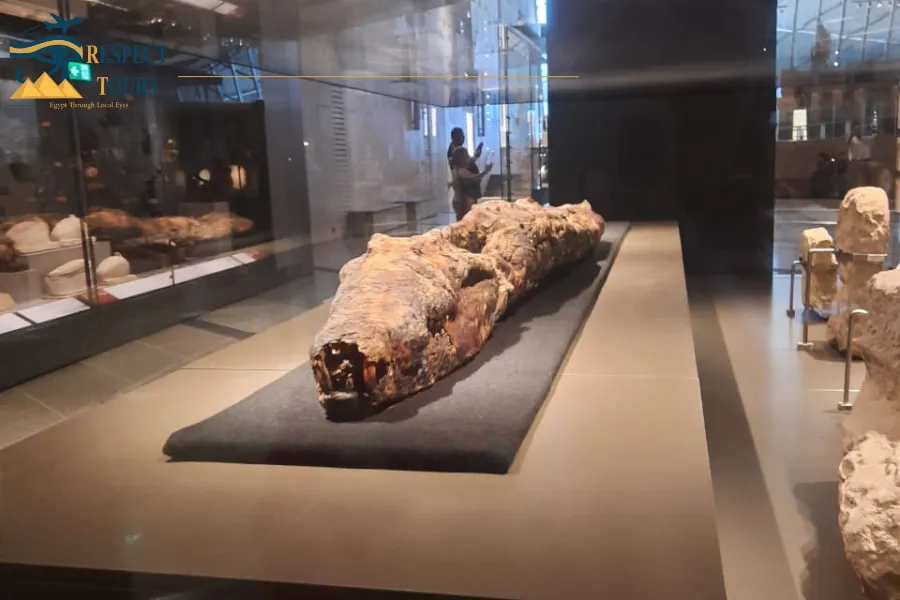 Fun Facts About the Nile River in Ancient Egypt You’ll Love 7 Nile crocodiles