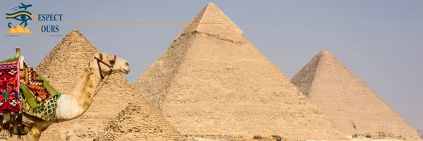 Pyramids & Egyptian Museum