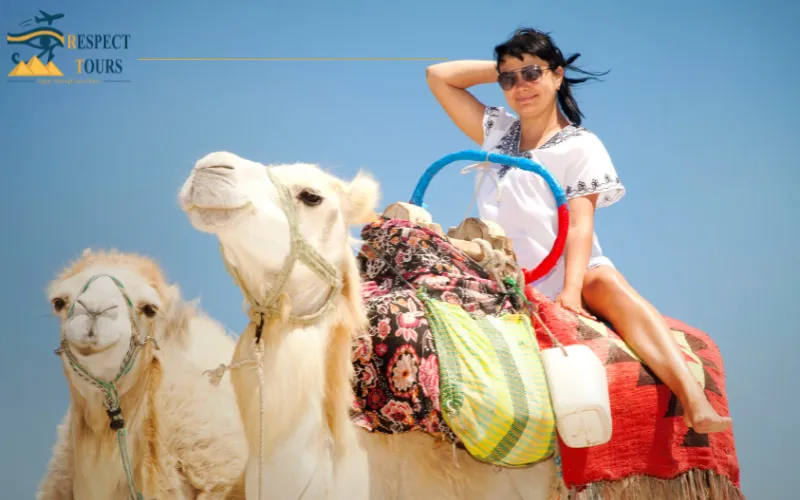  Top Things to Do in Egypt in Summer