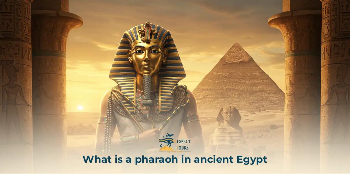 What is a Pharaoh in Ancient Egypt
