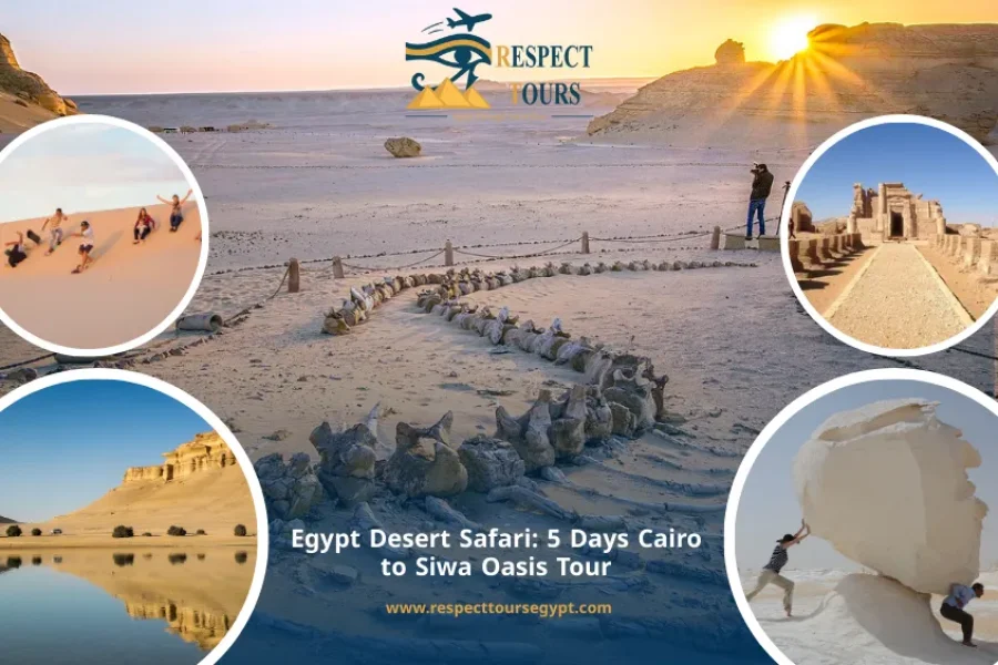 Egypt Desert Safari 5 Days Cairo to Siwa Oasis Tour