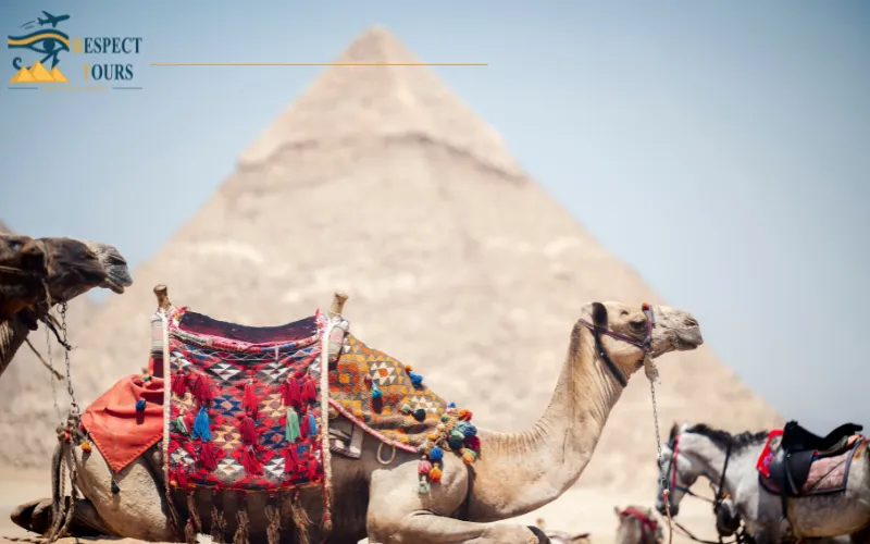 Top 10 Interesting Facts About Pyramids of Giza You Didn’t Know 10 Hidden Chambers Are Still Being Discovered Today