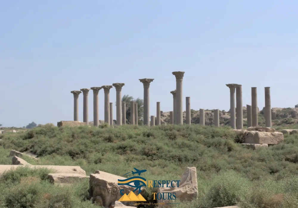 Hermopolis The City of the Ogdoad and the Cosmic Egg