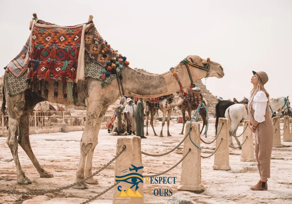 How do Egyptians spend their Christmas Eve