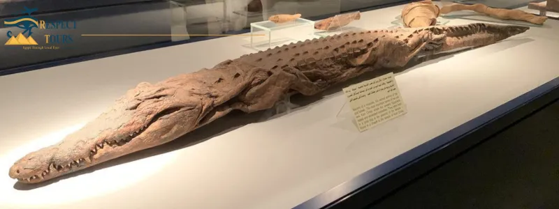 Luxor Museum and the Mummification Museum