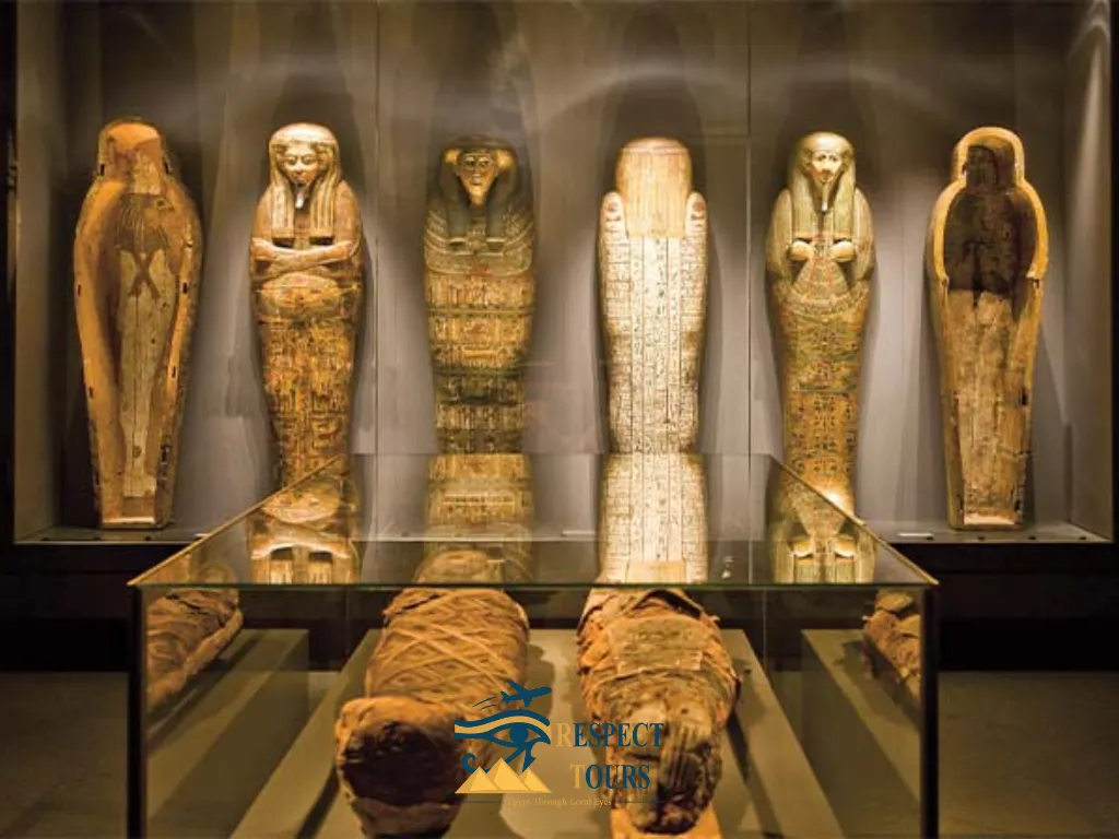 What Materials and Tools Were Used in Mummification