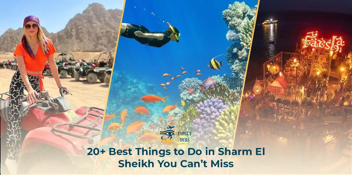 20+ Best Things to Do in Sharm El Sheikh