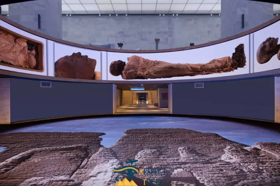 Cairo Museums Tour Coptic, NMEC, Islamic