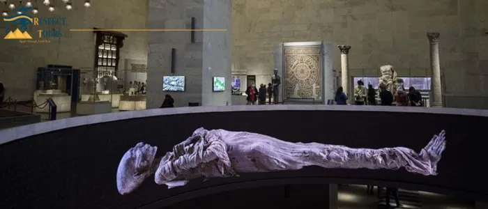 National Museum of Egyptian Civilization