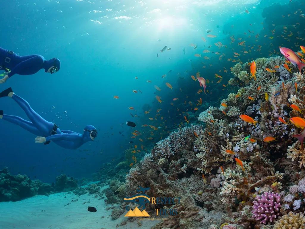 20+ Best Things to Do in Sharm El Sheikh You Can’t Miss 3 Top Things to Do in Sharm El Sheikh