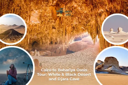 Cairo Bahariya Oasis Tour: White & Black Desert