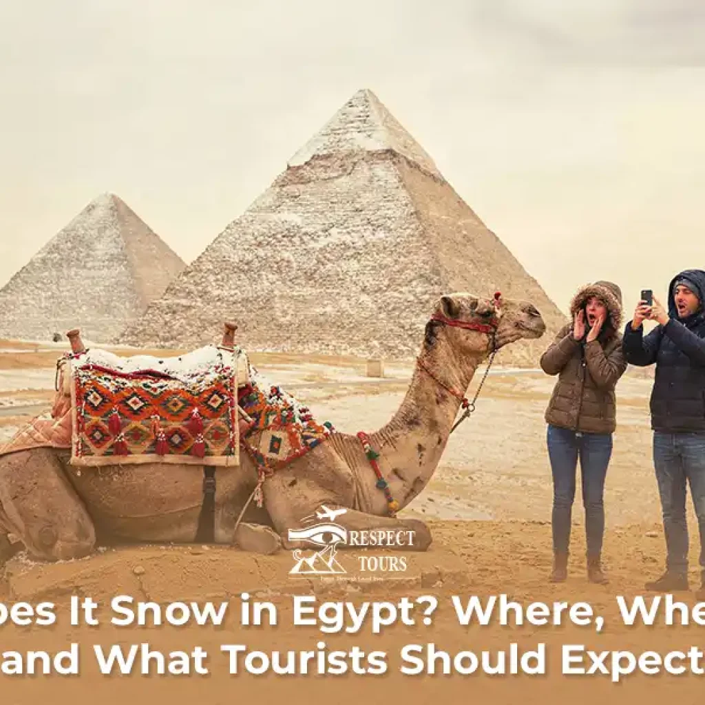 Does It Snow in Egypt? Where, When, and What Tourists Should Expect
