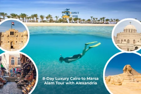 8-Day Luxury Cairo to Marsa Alam Tour with Alexandria
