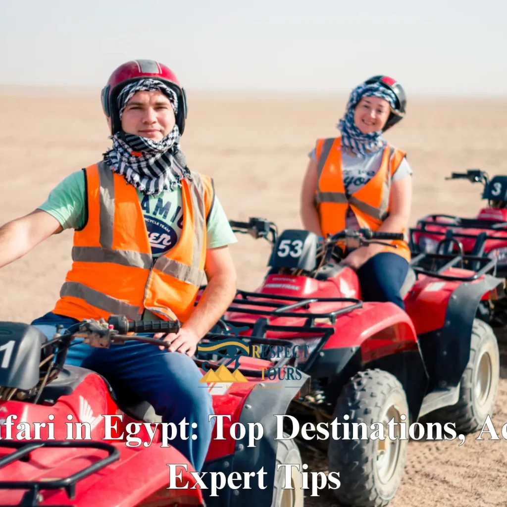 Desert Safari in Egypt: Top Destinations, Activities & Expert Tips for 2026