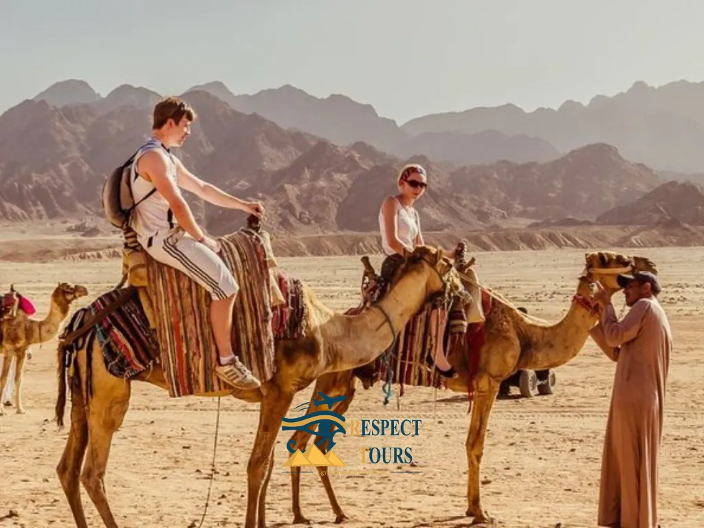 Desert Safari in Egypt 