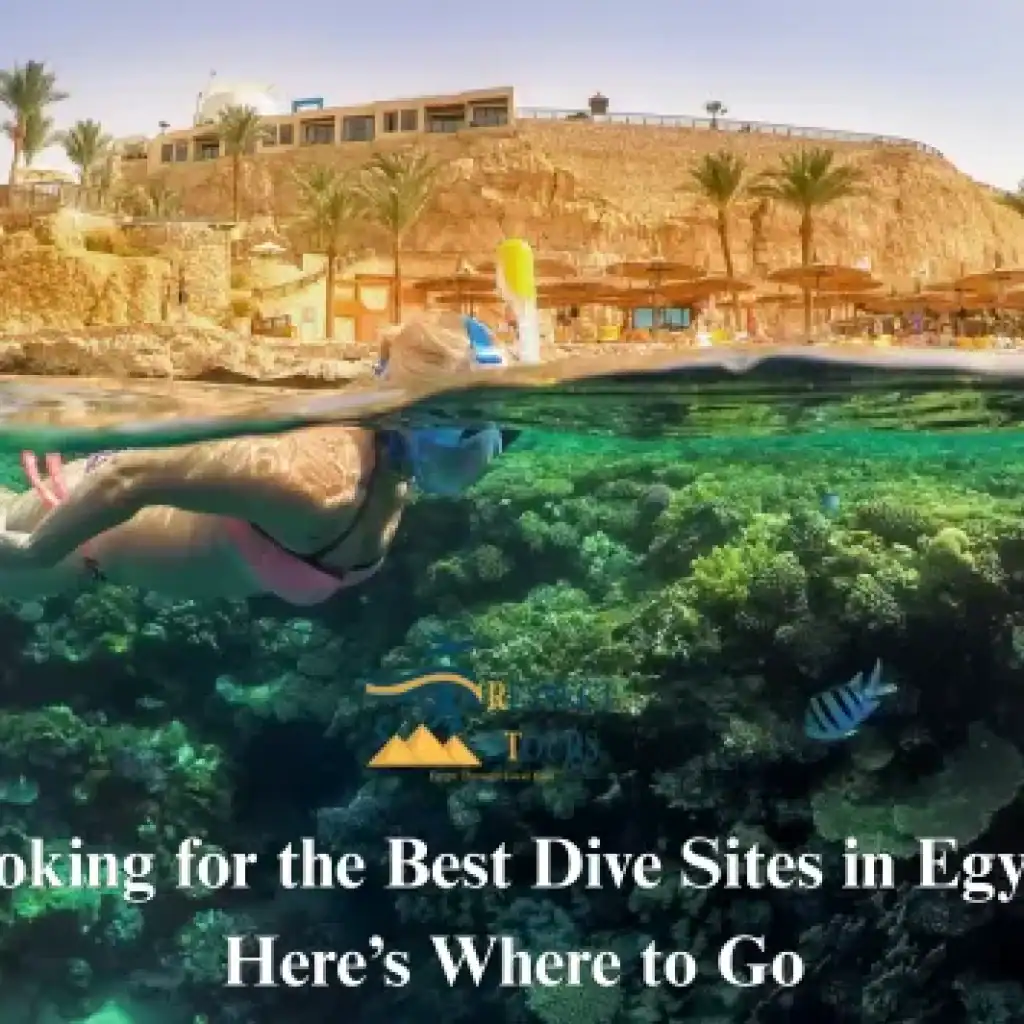 Looking for the Best Dive Sites in Egypt? Here’s Where to Go in 2026