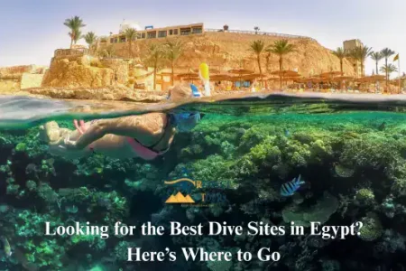 Looking for the Best Dive Sites in Egypt? Here’s Where to Go in 2026