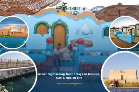 Aswan Sightseeing Tour