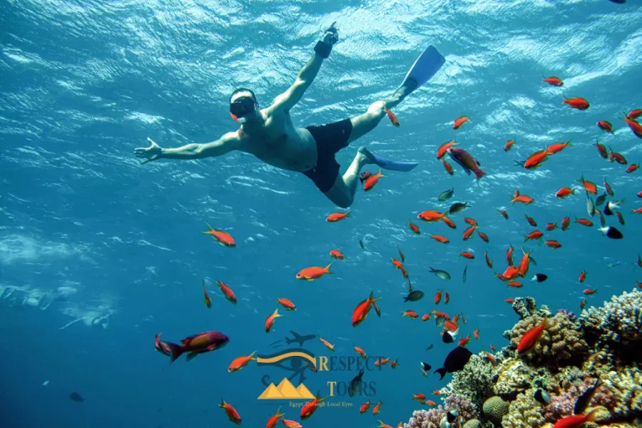 Blue Hole Snorkeling & Dahab