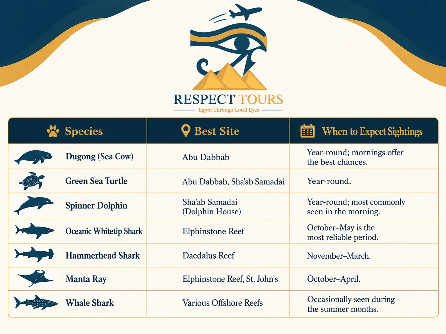 Marsa Alam Travel Guide 2026: Dive Sites, Beaches & Insider Tips 2 Marine Life and Nature in Marsa Alam