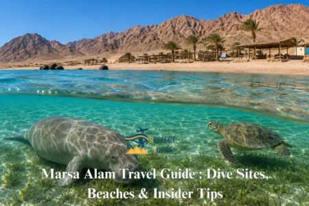 Marsa Alam Travel Guide 2026: Dive Sites, Beaches & Insider Tips