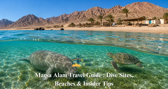Marsa Alam Travel Guide