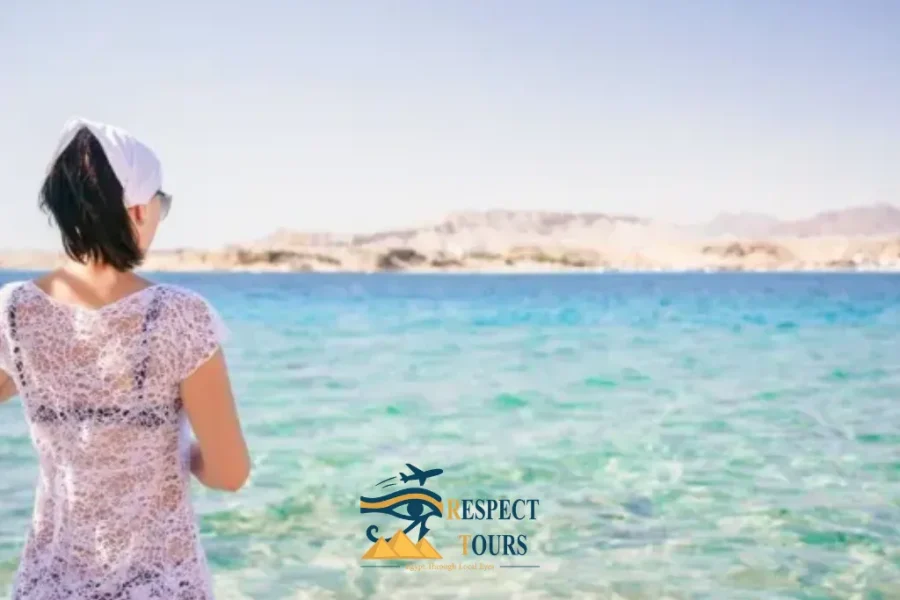 Ras Mohammed Snorkeling by Car from Sharm El Sheikh