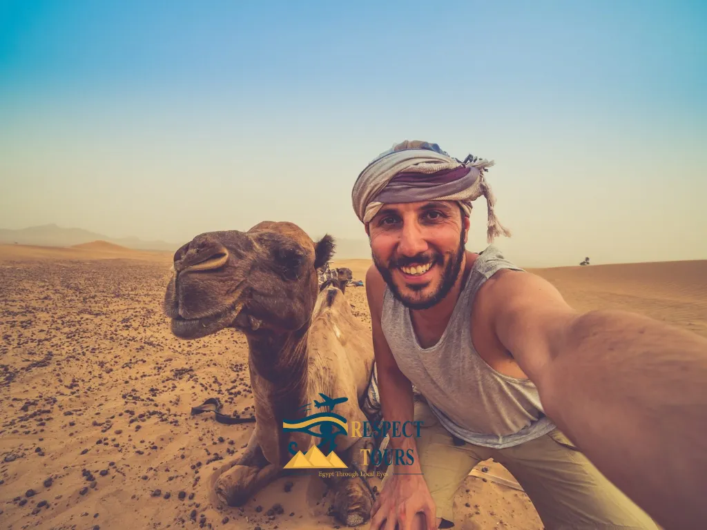 Marsa Alam Travel Guide 2026: Dive Sites, Beaches & Insider Tips 5 Marsa Alam Travel Guide