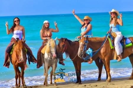 2-Hour Horse Riding in Hurghada