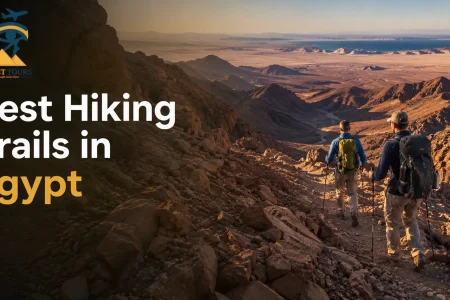 Best Hiking Trails in Egypt: 10 Hikes Recommended by Local Experts