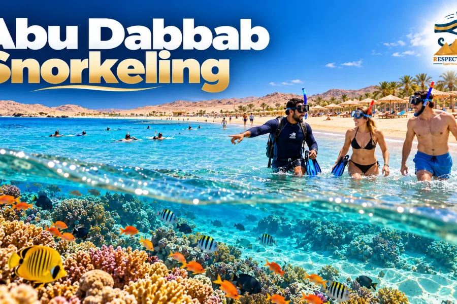 Abu Dabbab Snorkeling