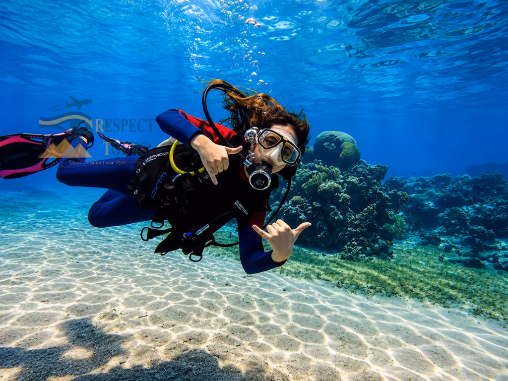 Activities in Sharm El Sheikh