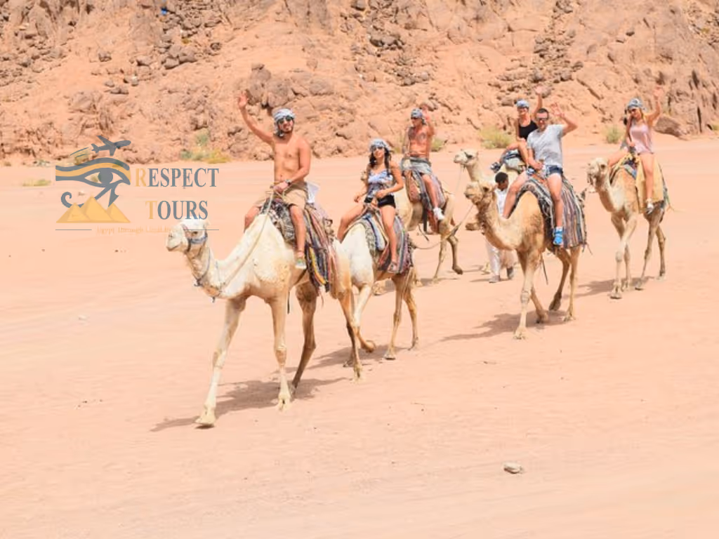 Booking Sharm El Sheikh Activities