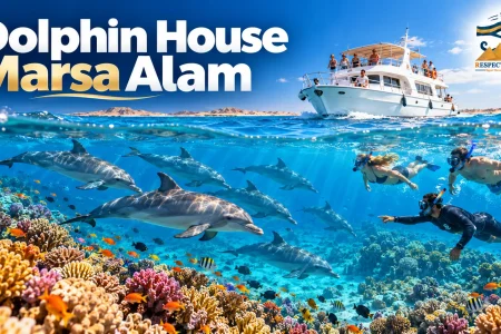 Dolphin House Marsa Alam