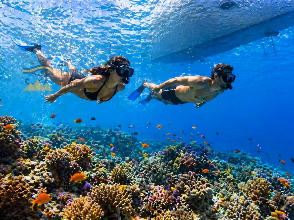 Snorkelling Spots in Sharm El Sheikh